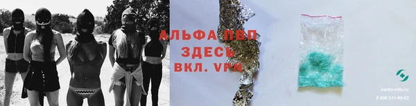 дмт Алзамай