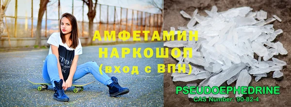 амф Протвино